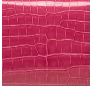 Crocodile Leather