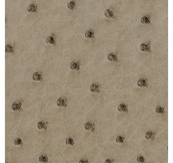 Ostrich Leather