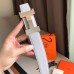 Hermes Constance Belt Buckle & Perle Clemence 38 MM Strap