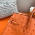 Hermes Birkin 25 Handmade Bag In Orange Ostrich Leather Hermes Birkin 25 Handmade Bag In Orange Ostrich Leather